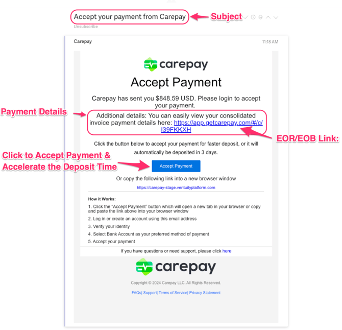 Payment Notification Email